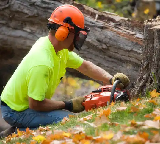 tree services Cloverport